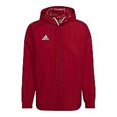 Adidas Entrada 22 All-weather HG6299