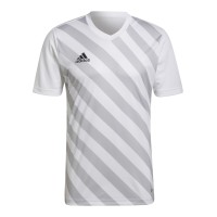 Adidas Entrada 22 GFX HF0129