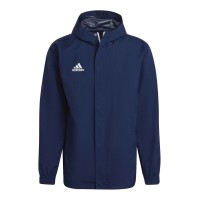 Adidas Entrada 22 All-weather H57472