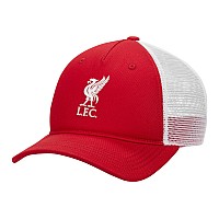 Nike Liverpool FC Rise FN4877-687