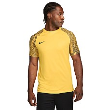 Nike Dri-FIT Academy DH8031-719