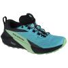 Salomon Sense Ride 5 GTX W 472160