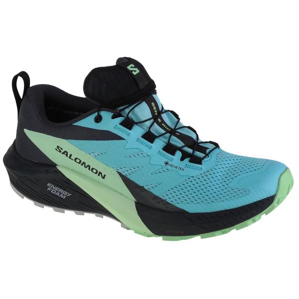 Salomon Sense Ride 5 GTX W 472160