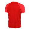 Nike Dri-Fit Academy Pro DH9225-657