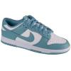 Nike Dunk Low Retro DV0833-106