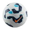 Nike Pitch FZ2636-100