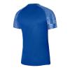 Nike Dri-Fit Academy SS DH8031-463