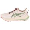 ASICS GT-2000 12 TR 1012B587-250