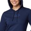 Columbia Trek Graphic Treatment Hoodie 2051611464