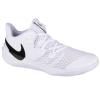 Nike Zoom Hyperspeed Court CI2964-100