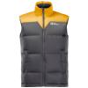 Jack Wolfskin Dna Tundra Down Vest M 1207181-3802