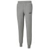 Puma Essentials Logo Pants 586714-03