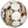 Select Futsal Master Gold FIFA Basic Ball MASTER WHT-GOLD