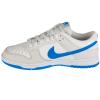 Nike Dunk Low Retro DV0831-108