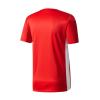 Adidas Entrada 18 Jersey Αθλητικό Ανδρικό T-shirt Κόκκινο με Λογότυπο CF1038