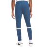 Nike Dri-FIT Academy Pants CW6122-410