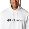 Columbia CSC Basic Logo II Hoodie 1681664106