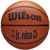 Wilson NBA Jr DRV Fam Logo Ball WZ3013001XB