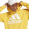 Μπλούζα adidas Big Logo Hoody FT HD IC9834