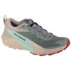 Salomon Sense Ride 5 W 472123