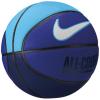 Nike Everyday All Court 8P Ball N1004369-425